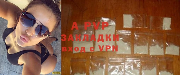 стаф Арсеньев