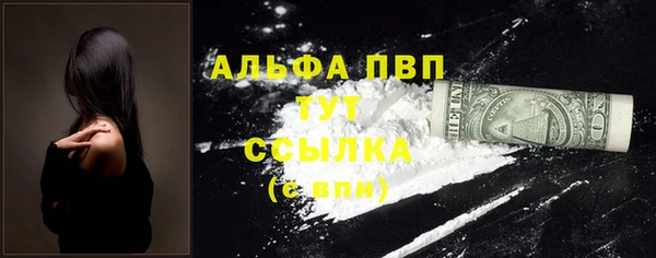 стаф Арсеньев