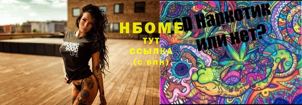 стаф Арсеньев
