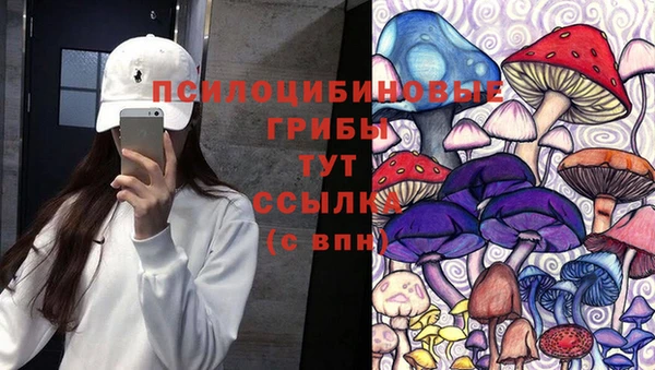 стаф Арсеньев
